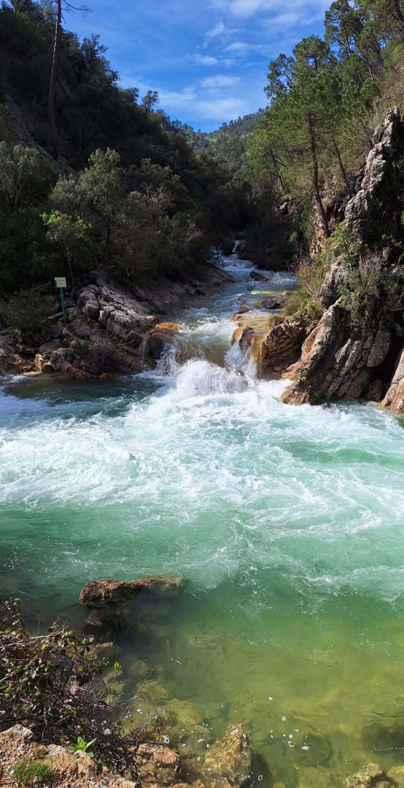 Parque Natural Sierras de Cazorla, Segura y Las Villas